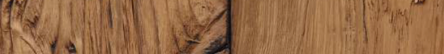 Bois ancien mushroom canadien